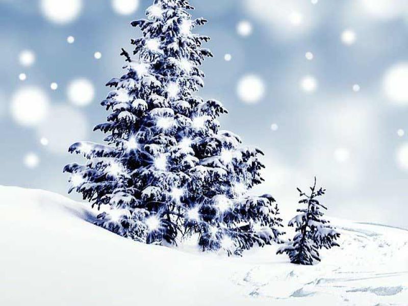 Frohe Weihnachten und einen guten Rutsch!
