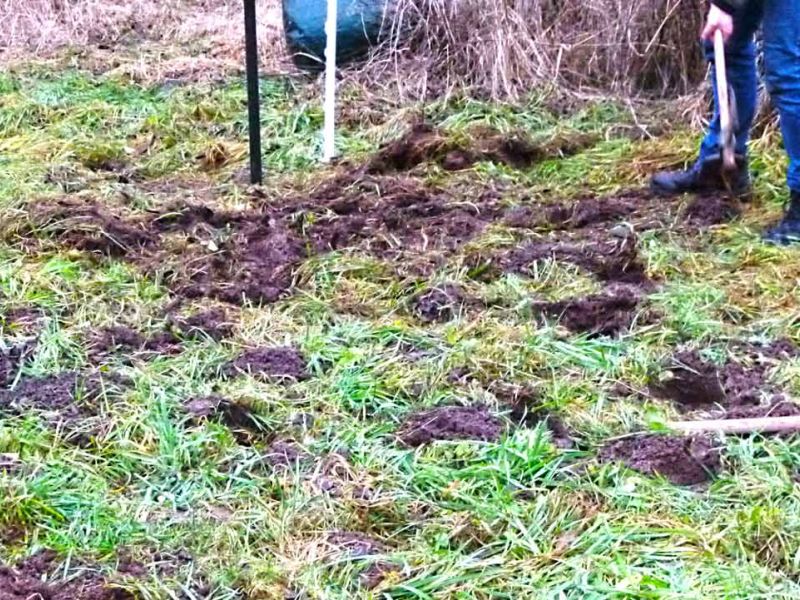 Befestigung des Boden in einem Weidezelt für Pferde mit dem Bodengitter BG30