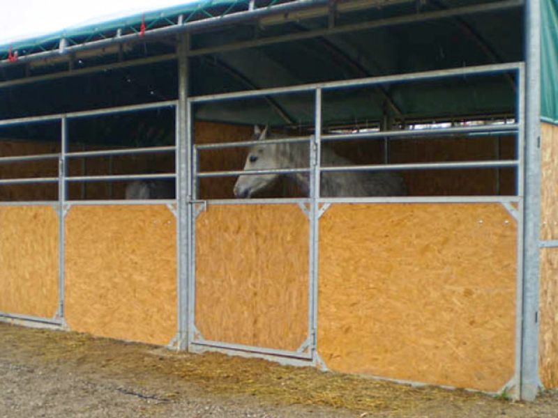 Bodengitter als Paddockplatte, Paddockgitter zur Pferdehaltung und Reitsport