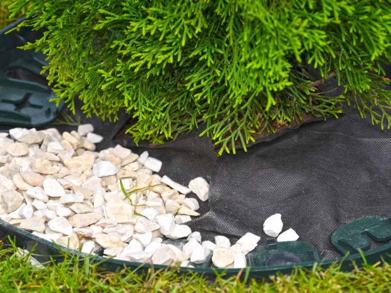 Randeinfassung aus Kunststoff als Rasenkante bzw. Beetkante für Pflanzflächen