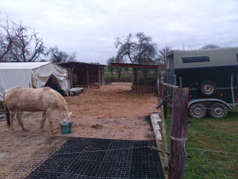 Matsch & Schlamm Ade. Das Paddock versinkt im Matsch, Pferde stehen im Schlamm. Das muss nicht sein, Bodengitter und Trennvlies von Securatek lösen das Problem!