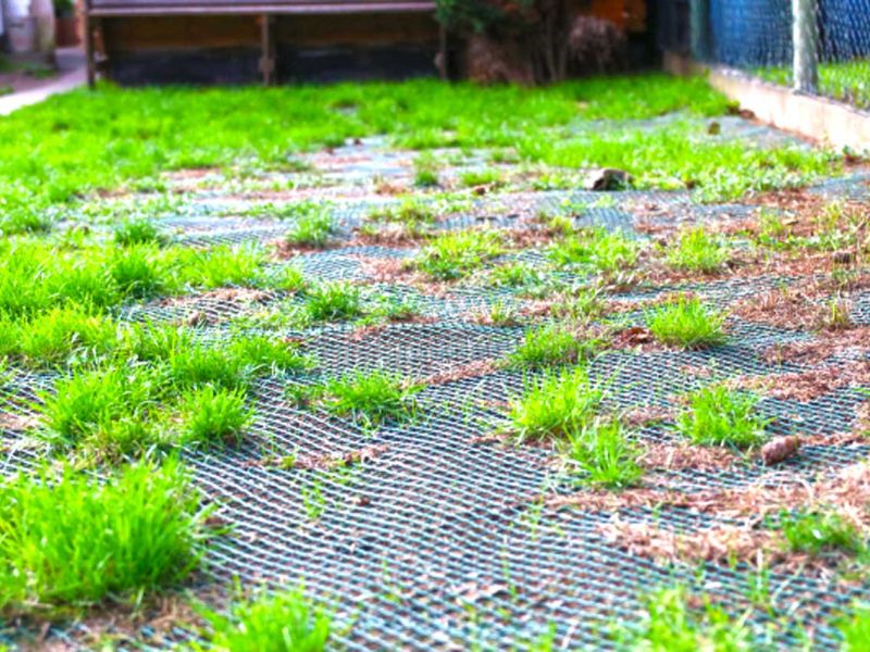 Sie möchten nicht das ihre Hunde im Garten den Rasen durchwühlen od. buddeln? Sie wollen das der Rasen ohne Löcher ist? Dann ist das Rasennetz RN zu empfehlen!