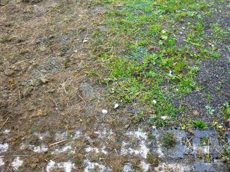 Bodenbefestigung eines Pferdeauslauf mit Weidezelt und Futterplatz