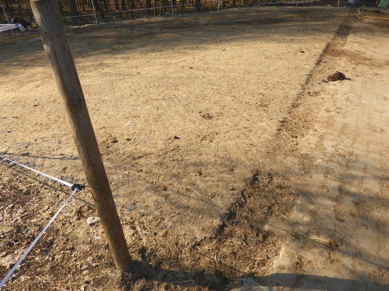 Update zu unserem Artikel "Befestigter Freilauf bei einer Pferdepension mit der Paddockplatte PP60"