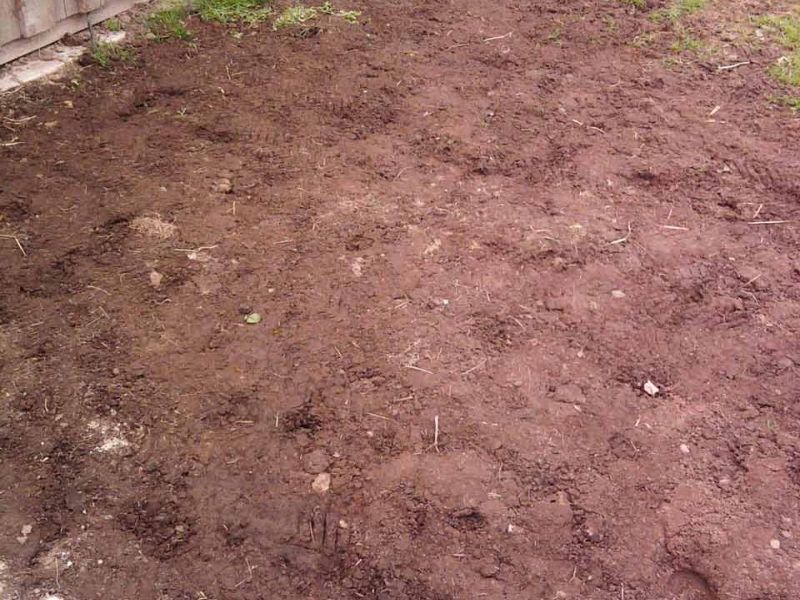 Rasennetz zum Rasenschutz für einen Offenstall und Auslauf eines Esel