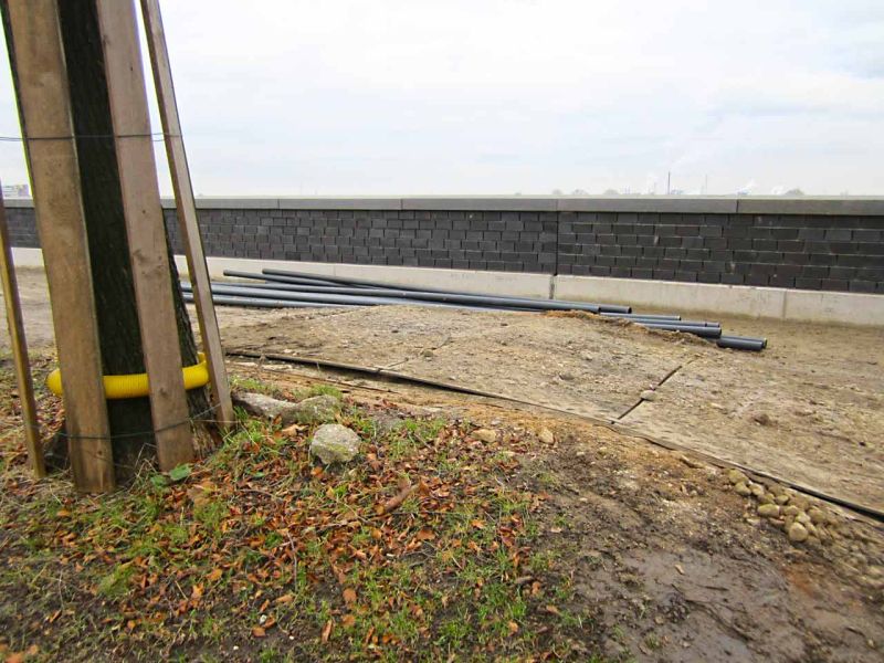 Sanierung einer Deichanlage - Wurzelschutz / Baumwurzelschutz