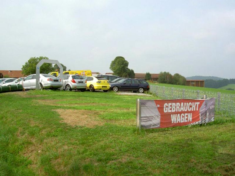 Rasennetz RN zur Rasenverstärkung der Ausstellungsfläche eines Autohauses