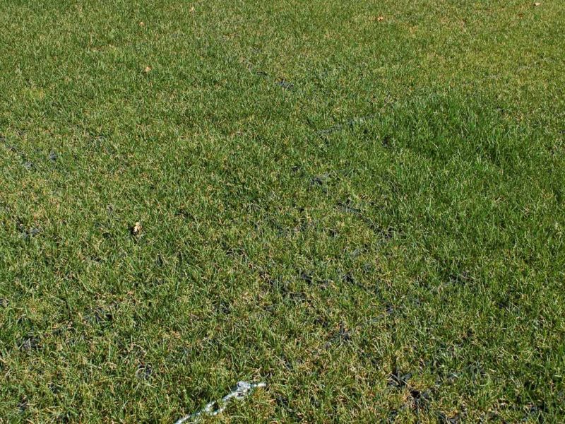 Rasenbefestigung für ein Hotel mit regelmäßigen Veranstaltungen mit dem Rasengitter RG24