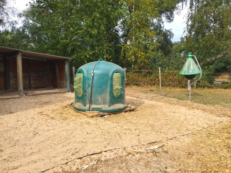 Futterplatz, Paddock und Offenstall - Matschfreie Bodenbefestigung ohne Unterbau