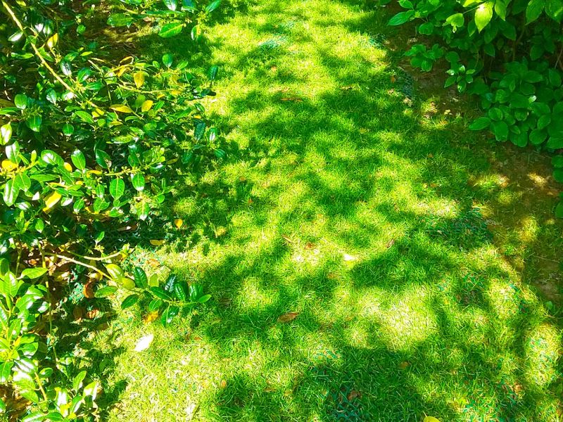 Rasennetz RN zur Rasenverstärkung und rutsch Festigkeit für einen Mähroboter