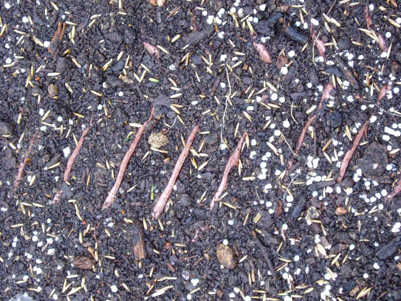 Rasenstabilisierung eines Grünstreifen im Bereich der Hofeinfahrt