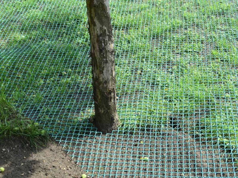 Wühlschutz und Buddelschutz für Hunde im Garten mit dem Rasennetz RN450