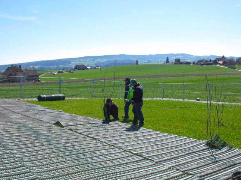 Rasennetz als Rasenschutz für eine Hühnerweide bzw. Hühnerauslauf