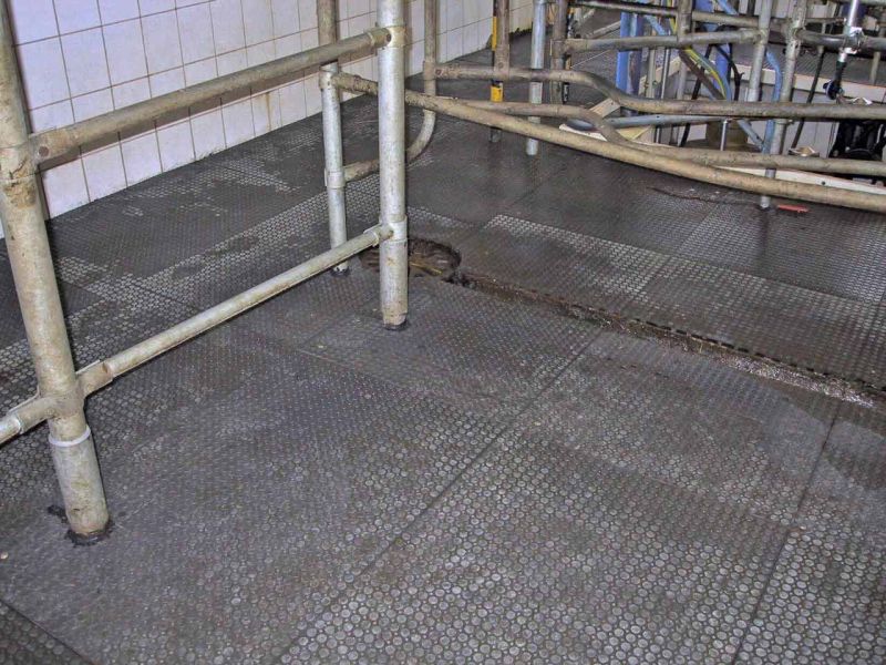 Bodenmatte aus Weich-PVC als Kuhmatte für Lauf,- Steh,- Liegeflächen in der Viehhaltung