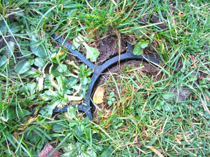 Rasengitter RG24 als nicht sichtbare Rasenverstärkung einer Nutzfläche