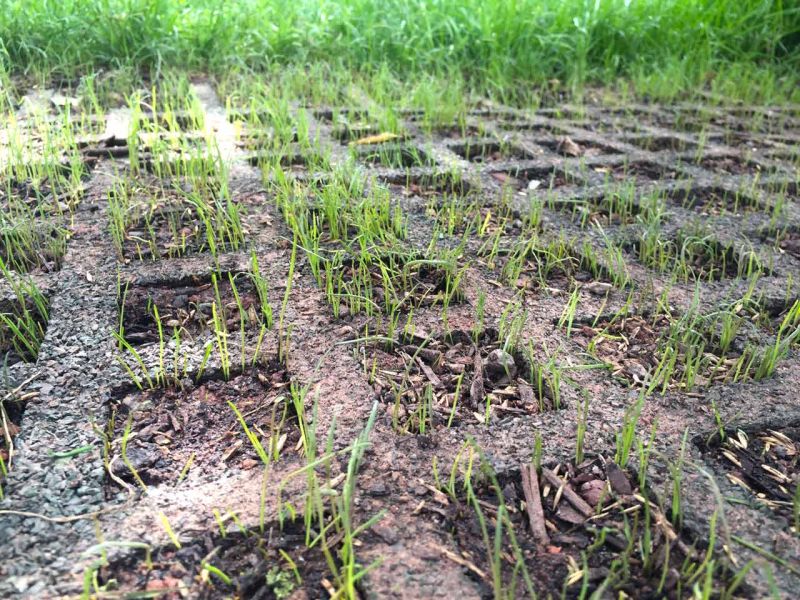 Rasengitterplatte aus Gummi als Fallschutzmatte für Schaukel, Rutsche & Spielgerüst