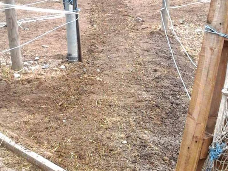 Bodengitter zur Befestigung des Fußweg zum Futterplatz & Unterstand für Pferde