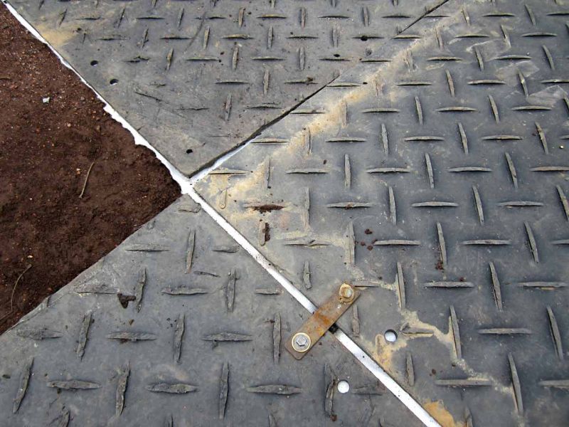 Sanierung einer Deichanlage - Wurzelschutz / Baumwurzelschutz