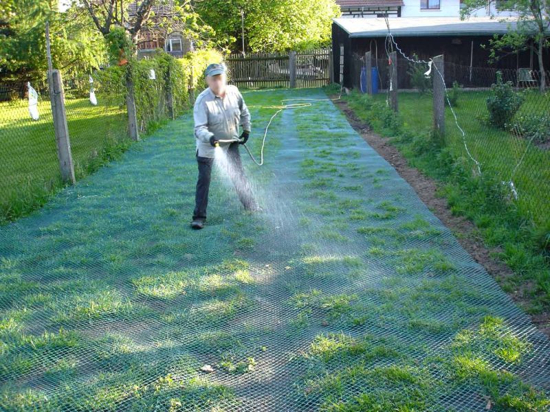 Rasennetz als Wühlschutz und Buddelschutz für Hühner in der Freilandhaltung