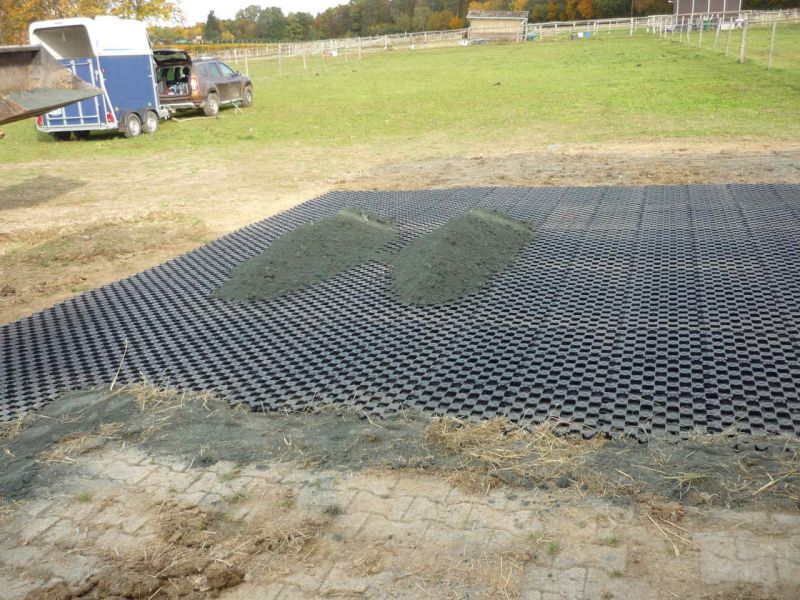 Paddockplatte pp60 für ein Profi Pferde paddock