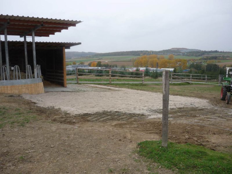 Paddockplatte pp60 für ein Profi Pferde paddock