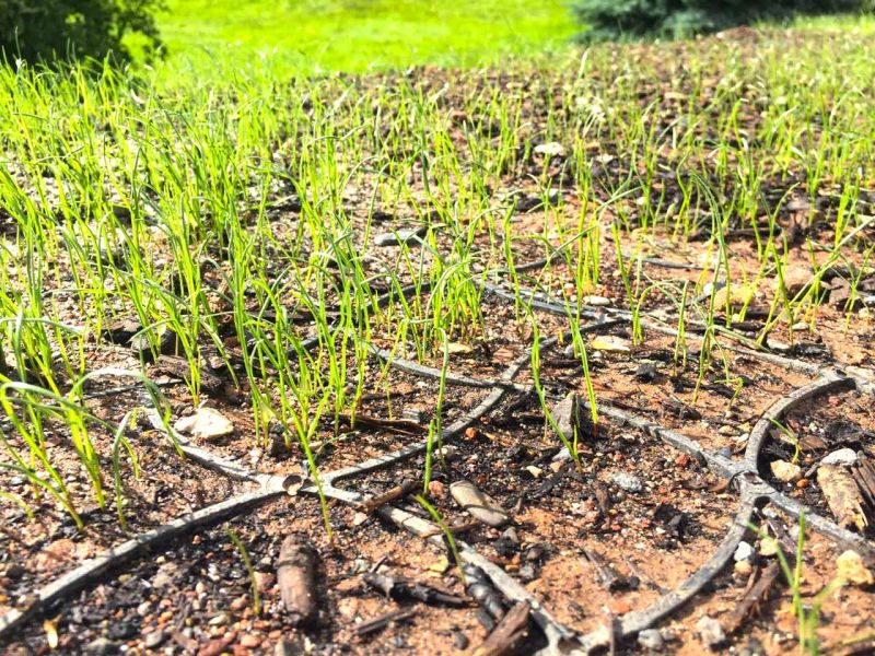 RASEN VERSTÄRKEN UND BEFAHRBAR MACHEN MIT BODENGITTER BG50 AUS KUNSTSTOFF