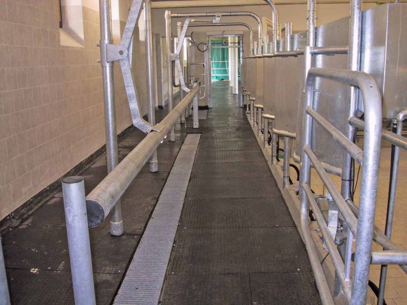 Bodenmatte aus Weich-PVC als Kuhmatte für Lauf,- Steh,- Liegeflächen in der Viehhaltung