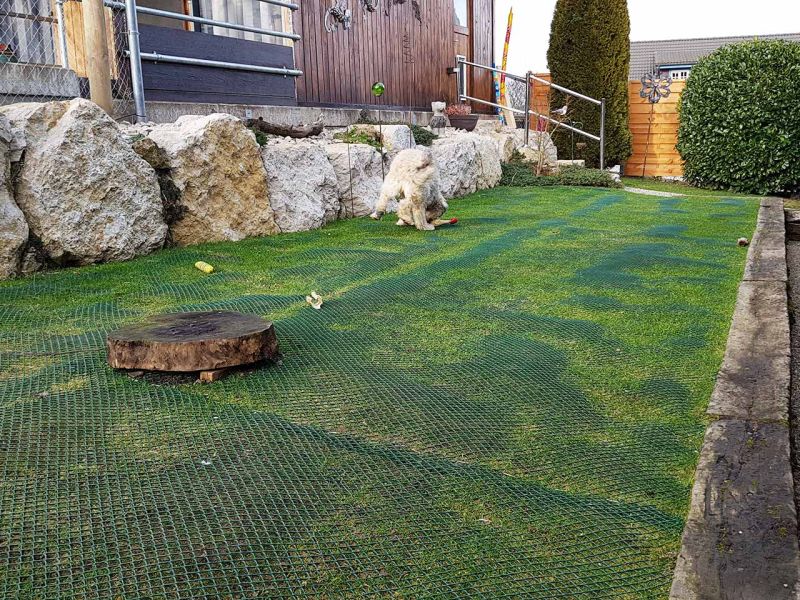Hunde wühlen & buddeln gerne, leider auch im eigenen Garten. Hier sehen Sie wie man man einen Rasen bzw. Wiese vor Wühl & Buddelattacken effektiv schützt...