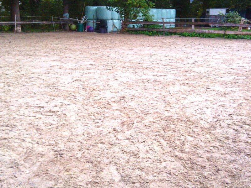 Anfertigen eines wasserdurchlässigen Reitplatz mit dem Bodengitter BG30