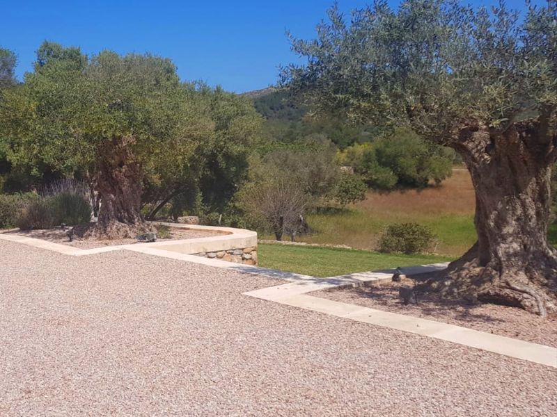 Wie eine Werbung für einen Mallorca Urlaub das kann unser Kiesgitter KG30