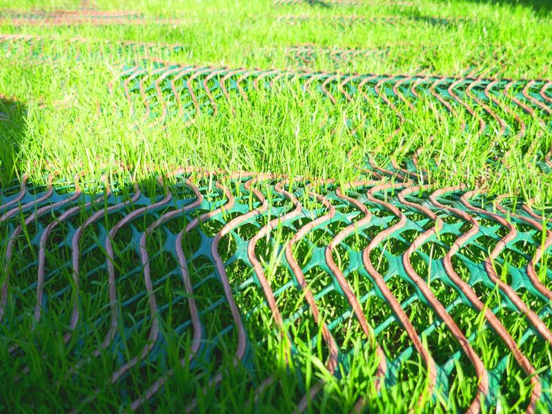 Hundebesitzer aufgepasst! Nie mehr Löcher im Garten, Wiese, und Rasen durch Wühlen & Buddeln mit dem Rasennetz RN