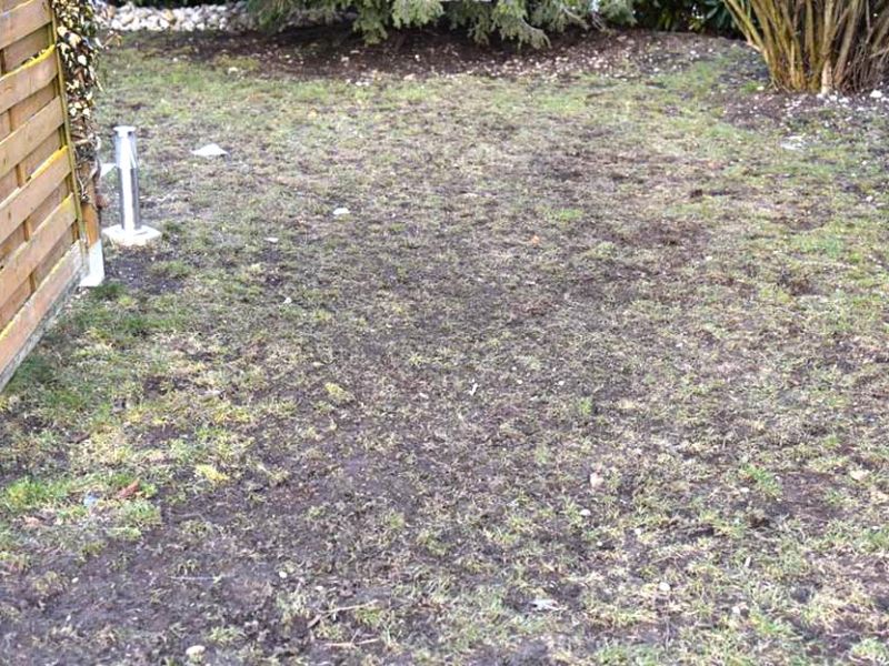 Rasennetz RN 1800 als Wühlschutz, Buddelschutz für den Hundeauslauf im Garten