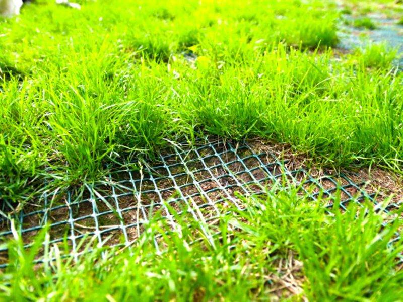 Sie möchten nicht das ihre Hunde im Garten den Rasen durchwühlen od. buddeln? Sie wollen das der Rasen ohne Löcher ist? Dann ist das Rasennetz RN zu empfehlen!