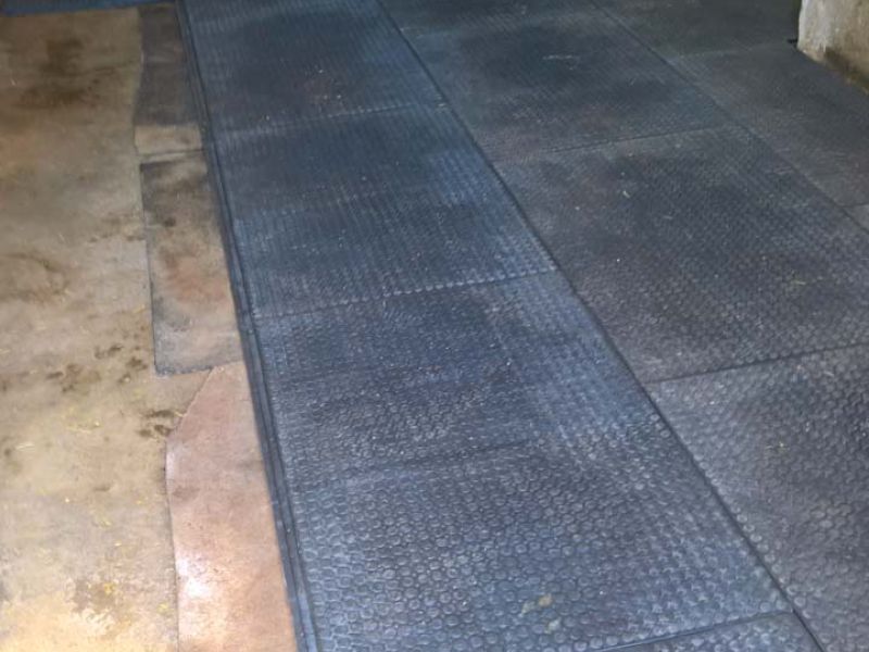 Verlegung von Bodenmatten als Stallboden für einen Pferdestall