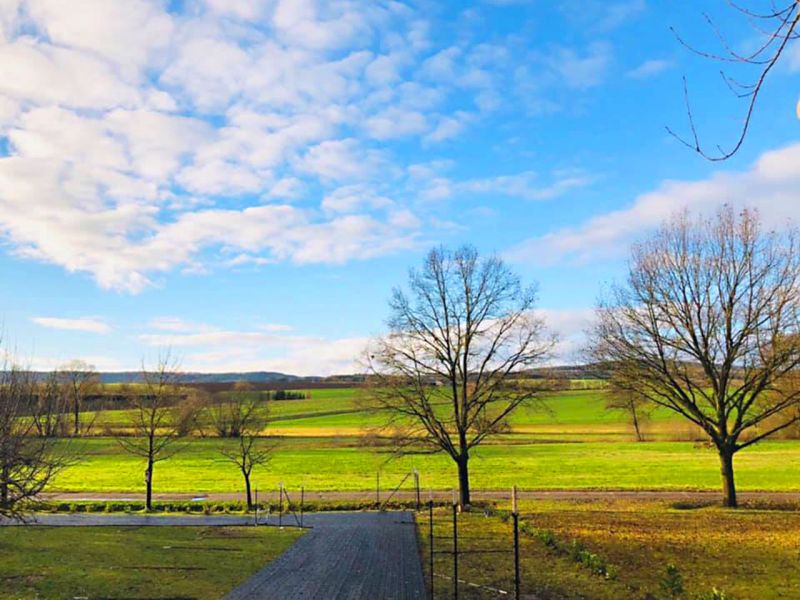 Anlegen eines stabilisierten und sicheren Weges für Pferde mit der Paddockplatte PP60