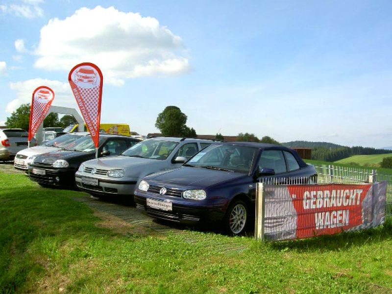 Rasennetz RN zur Rasenverstärkung der Ausstellungsfläche eines Autohauses