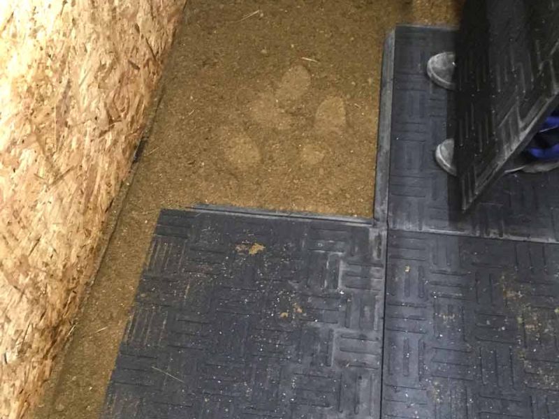 Stallmatten zur Verbesserung des Stallklima und Vereinfachung der Stallpflege