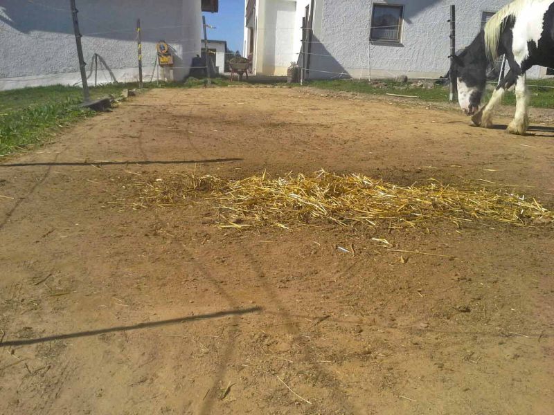Herstellen eines Pferdepaddock ohne Unterbau mit dem Bodengitter BG30
