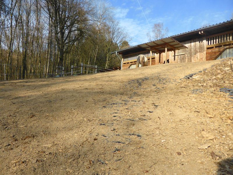 Update zu unserem Artikel "Befestigter Freilauf bei einer Pferdepension mit der Paddockplatte PP60"