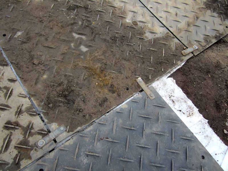 Sanierung einer Deichanlage - Wurzelschutz / Baumwurzelschutz