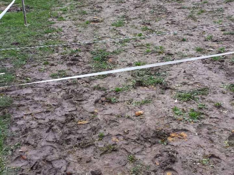Paddockplatten ohne Unterbau selber verlegen - Paddocks ohne Matsch