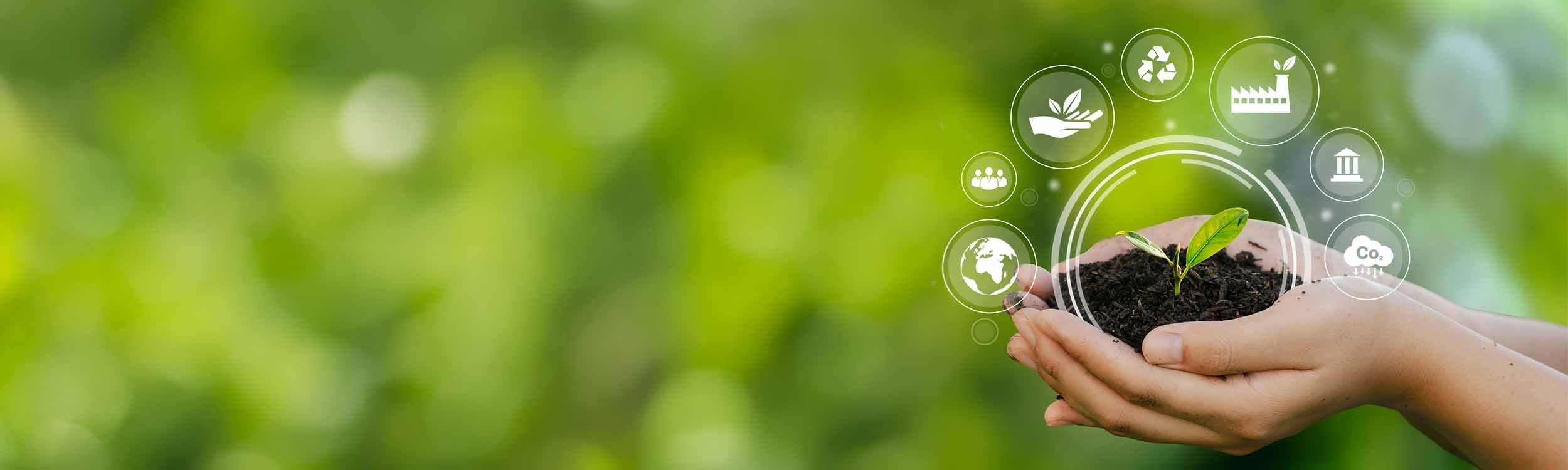 Zwei Hände halten etwas Erde. In der Erde ist ein Keimling. Verschiedene Symbole sind um die Hand verteilt.