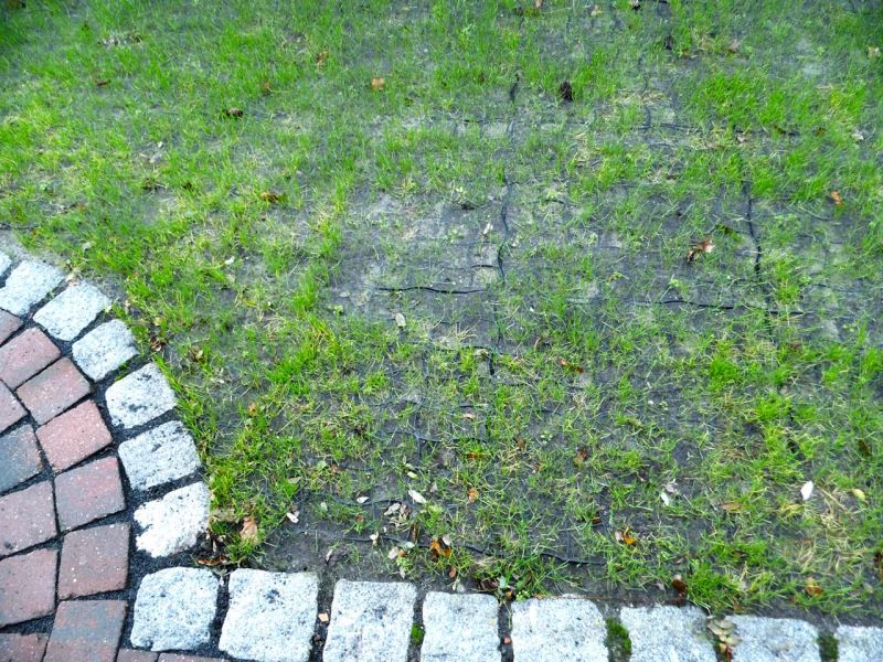 Bodenbefestigung einer begrünten Carport-Zufahrt mit dem Bodengitter BG50