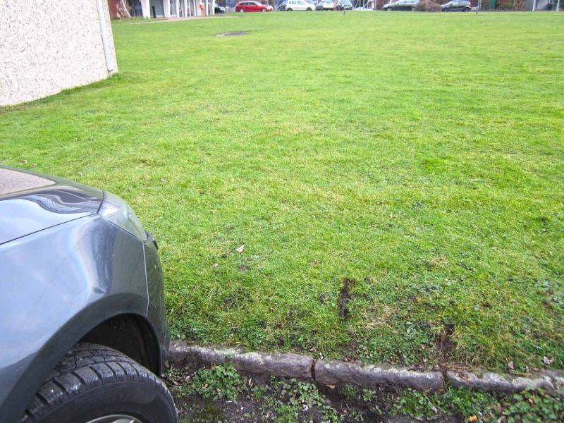 Rasengitter RG24 als nicht sichtbare Rasenverstärkung einer Nutzfläche