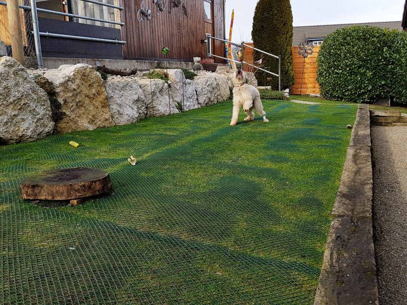 Hunde wühlen & buddeln gerne, leider auch im eigenen Garten. Hier sehen Sie wie man man einen Rasen bzw. Wiese vor Wühl & Buddelattacken effektiv schützt...