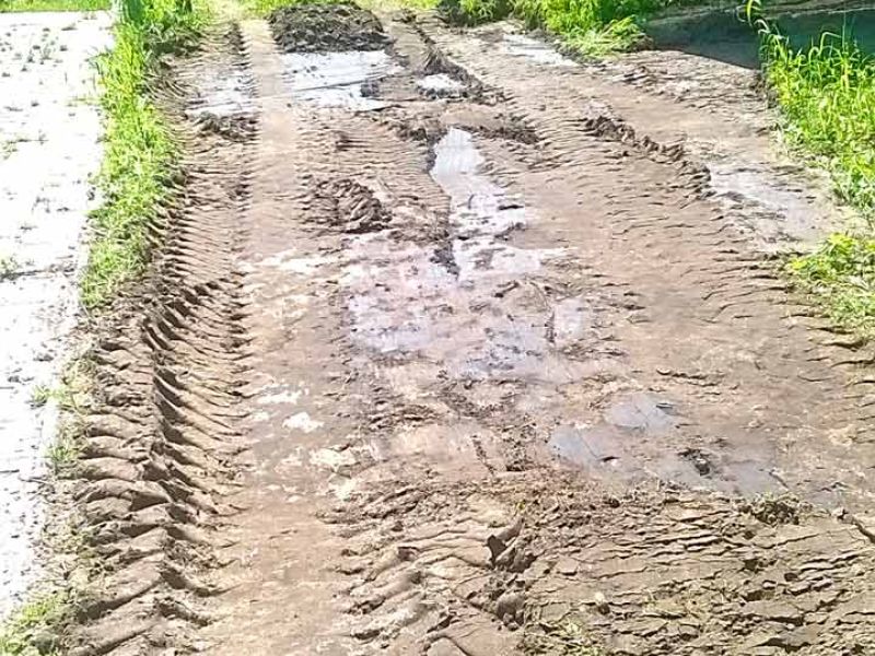 Verlegung des Bodengitter BG30 ohne Unterbau für ein Pferde Paddock / Offenstall