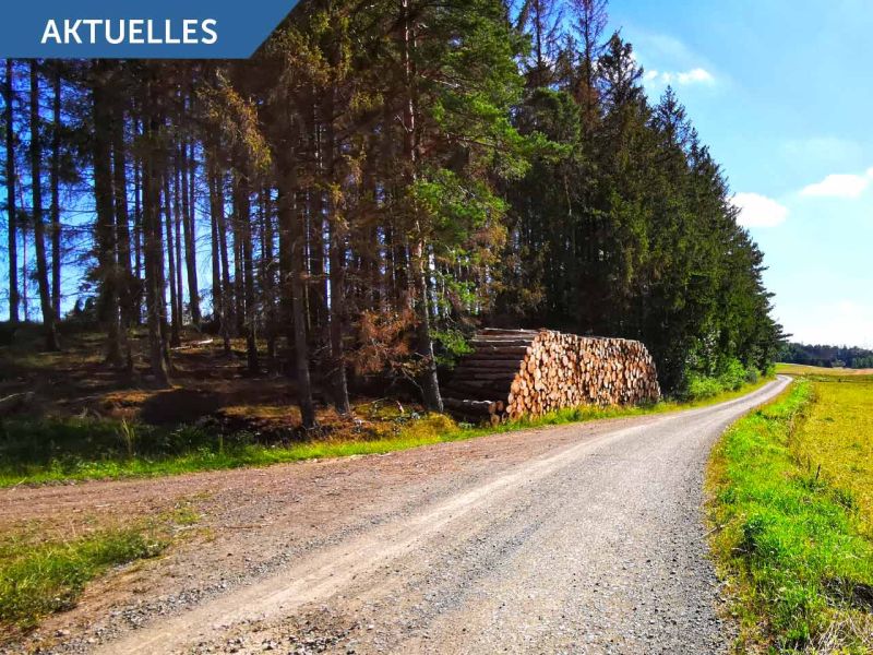 Investitionsprogramm Wald - Bis zu 40% Zuschüsse für Bodenschutzplatten von Securatek - BMEL Positivliste Rentenbank Förderung