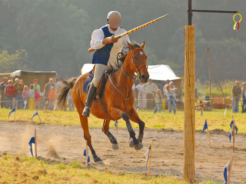 Bodengitter als Paddockplatte, Paddockgitter zur Pferdehaltung und Reitsport