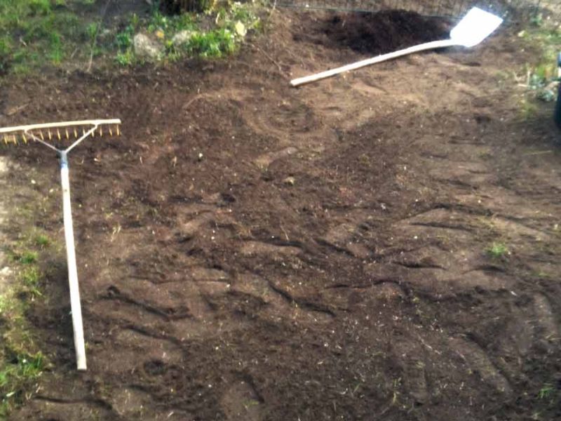 Rasennetz RN640 als Wühlschutz / Buddelschutz für die Haustierhaltung im Garten