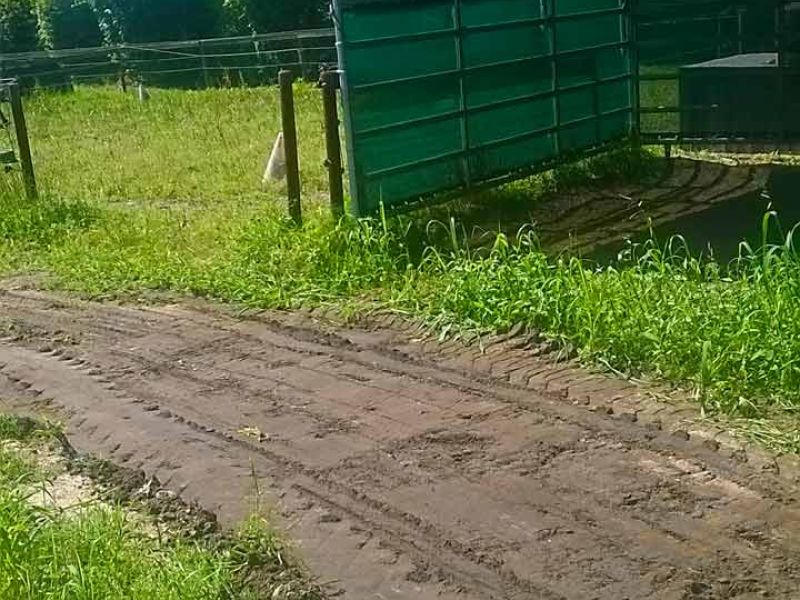 Verlegung des Bodengitter BG30 ohne Unterbau für ein Pferde Paddock / Offenstall